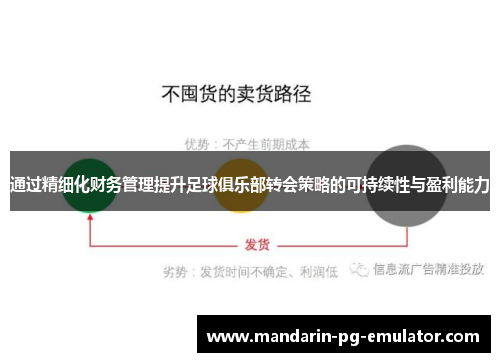 通过精细化财务管理提升足球俱乐部转会策略的可持续性与盈利能力