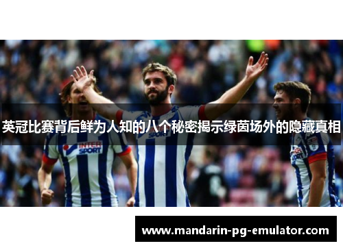 英冠比赛背后鲜为人知的八个秘密揭示绿茵场外的隐藏真相