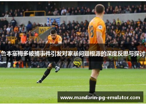 鲁本塞梅多被捕事件引发对家暴问题根源的深度反思与探讨