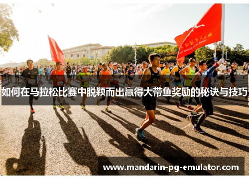 如何在马拉松比赛中脱颖而出赢得大带鱼奖励的秘诀与技巧