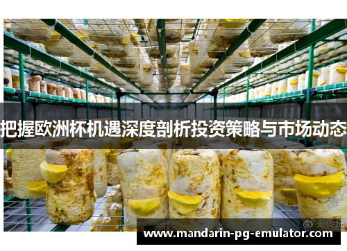 把握欧洲杯机遇深度剖析投资策略与市场动态