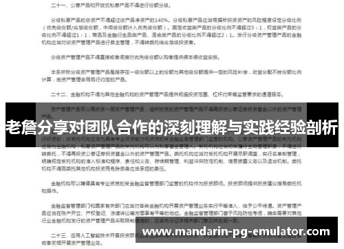 老詹分享对团队合作的深刻理解与实践经验剖析 老詹分享对团队合作的深刻理解与实践经验剖析